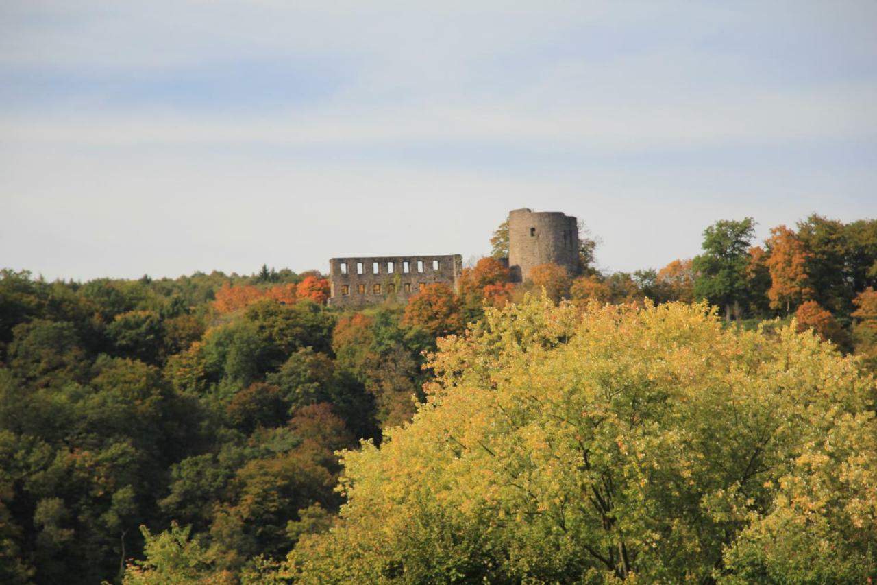 "Fewo Am Siegsteig" Appartement Dattenfeld Buitenkant foto