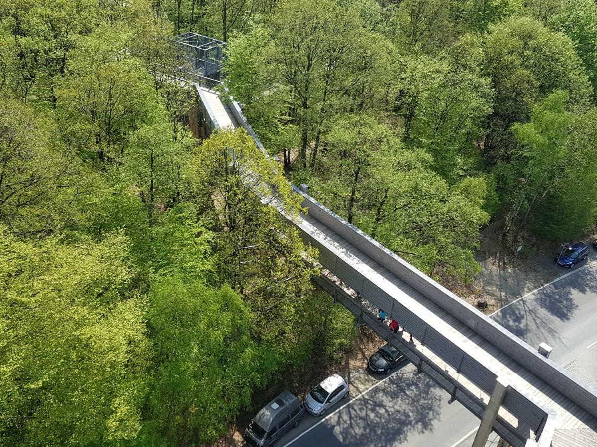 "Fewo Am Siegsteig" Appartement Dattenfeld Buitenkant foto